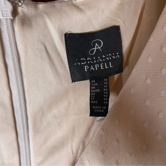 Adrianna Papell By Anthropologie Rivoli Tulle Blush Rose Gown Sz 10 NWT - Picture 5 of 10